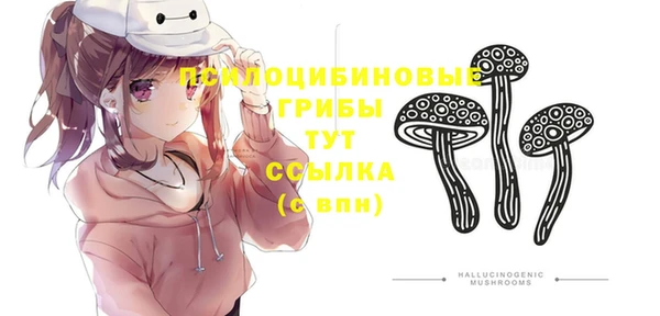 бутират Богданович